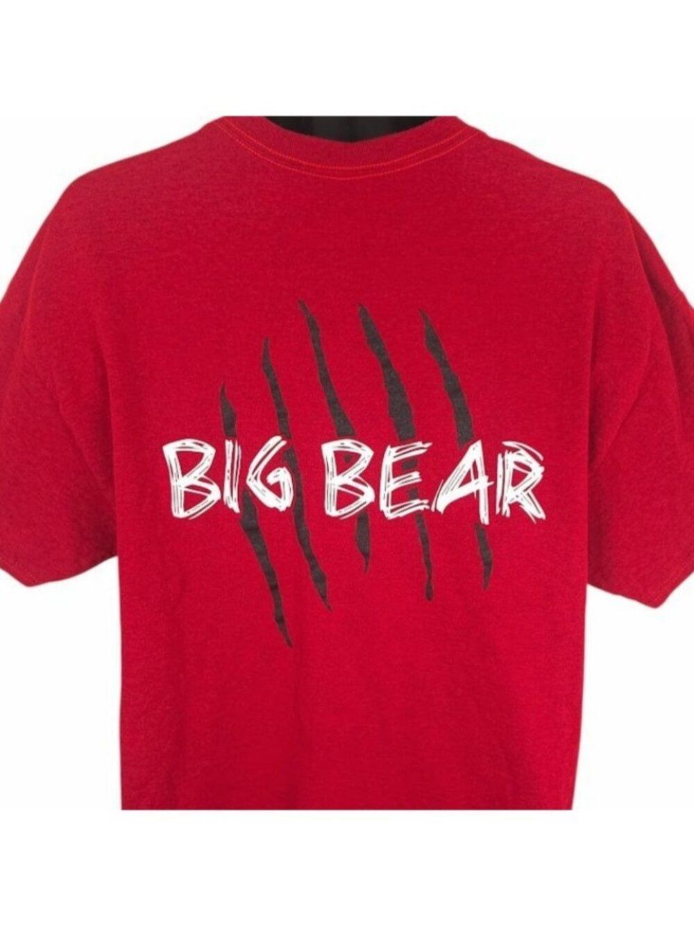 Big Bear T Shirt Mens Size XL Red California Travel Destination Tee